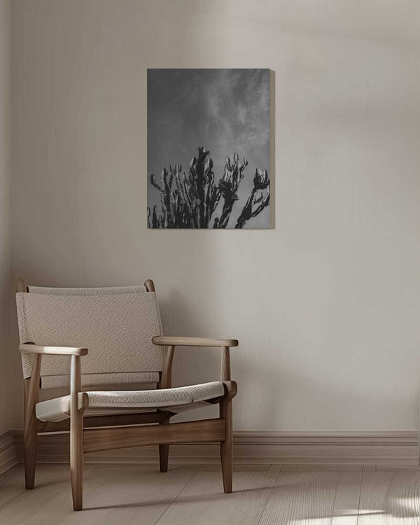 Tablou canvas „Monochrome Cactus Sky” de Bethany Young