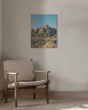 Tablou canvas „Joshua Tree Sunset” de Bethany Young