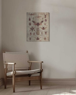 Tablou canvas „Vintage-style  Insects” de Mike Koubou