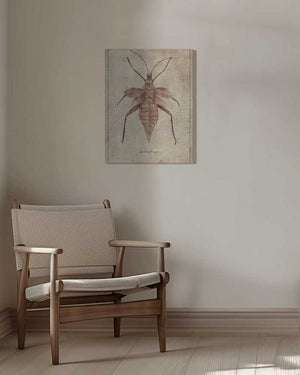 Tablou canvas „Vintage Insect Illustration” de Mike Koubou