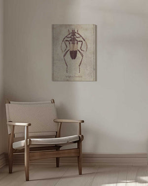 Tablou canvas „Vintage Insect Sketch” de Mike Koubou