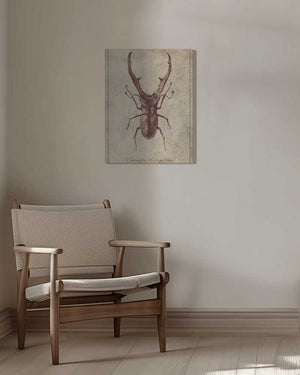 Tablou canvas „Antique Beetle Illustration” de Mike Koubou