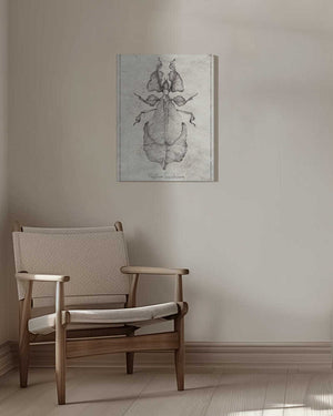 Tablou canvas „Phyllium Siccifolium” de Mike Koubou