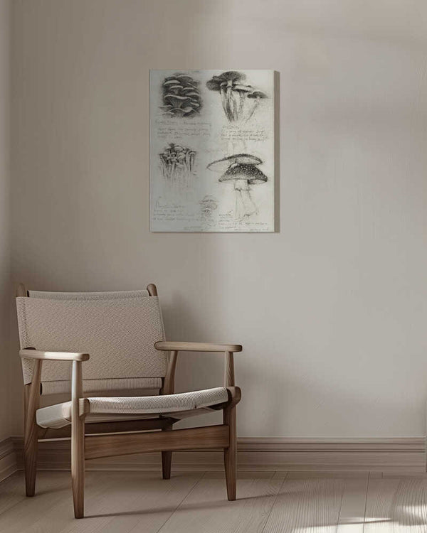 Tablou canvas „Various Botanical Mushrooms” de Mike Koubou