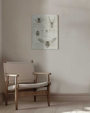 Tablou canvas „Sketches Of Beetles And Insects” de Mike Koubou