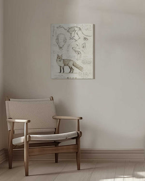 Tablou canvas „Fox Anatomy Illustration” de Mike Koubou