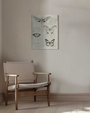 Tablou canvas „Butterfly Illustrations” de Mike Koubou