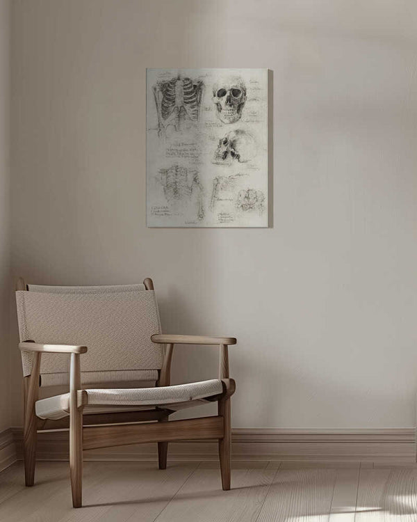 Tablou canvas „Bones of the Core Skull &amp; Ribcage Studies” de Mike Koubou