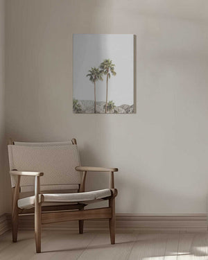 Tablou canvas „Palm Springs Palms” de Kathrin Pienaar