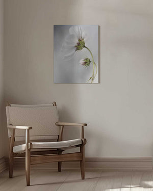 Tablou canvas „Heavenly Cosmos” de Mandy Disher