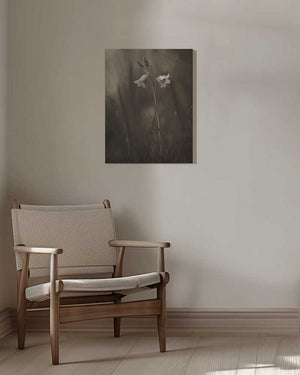 Tablou canvas „A small flower on the ground” de Allan Wallberg