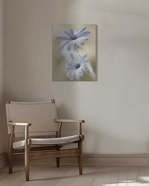Tablou canvas „Cape daisies” de Mandy Disher