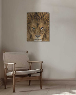 Tablou canvas „Serious Lion” de Mike Centioli