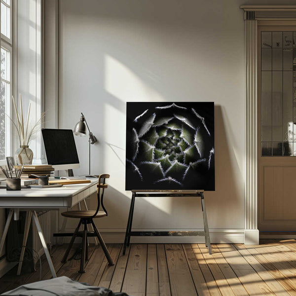 Tablou canvas „Sempervivum Rosette” de Victor Mozqueda