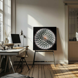 Tablou canvas „Notocactus scopa” de Victor Mozqueda