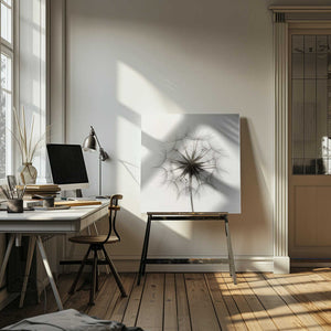 Tablou canvas „Tragopogon” de Lotte Grønkjær