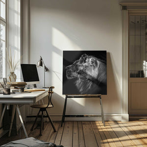 Tablou canvas „Lion and  lioness portrait” de Laurent Lothare Dambreville