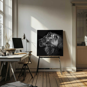 Tablou canvas „Lion and  lioness portrait” de Laurent Lothare Dambreville