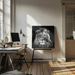 Tablou canvas „Young Male Lion” de Christian Meermann