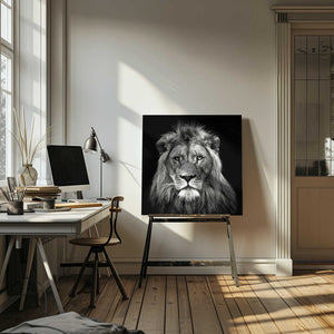 Tablou canvas „Young Male Lion” de Christian Meermann