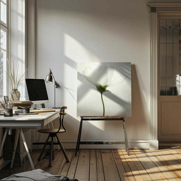 Tablou canvas „White cosmos” de Lotte Grønkjær