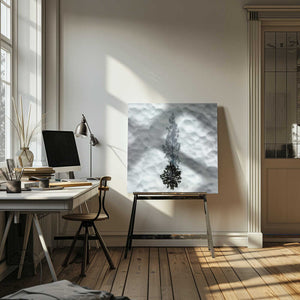 Tablou canvas „Winter Tree” de Rob Darby