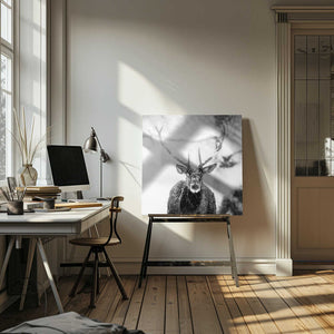 Tablou canvas „Male deer in heavy snow” de Alexandru Handrache