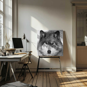 Tablou canvas „Wolf Portrait” de Mircea Costina