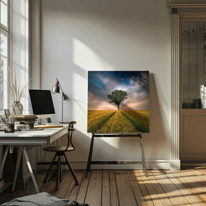 Tablou canvas „One” de Piotr Krol (Bax)