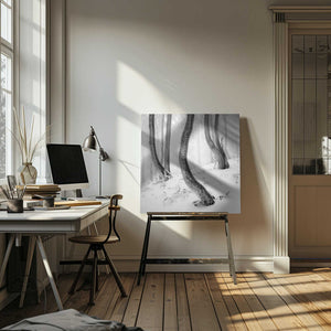 Tablou canvas „Frozen Forest” de Martin Rak