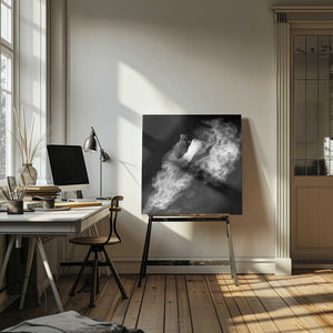 Tablou canvas „Down to Earth” de Antonyus Bunjamin (Abe)
