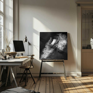 Tablou canvas „Down to Earth” de Antonyus Bunjamin (Abe)