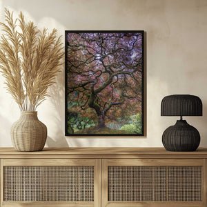 Tablou înramat „Japanese Maple Tree” de Mike Centioli