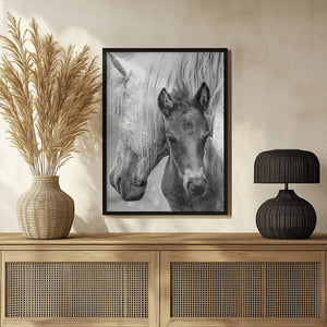 Tablou înramat „The Foal” de Jacky Parker