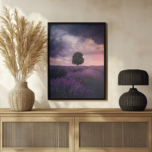 Tablou înramat „Lavender Fields, Isparta” de Cuma Cevik