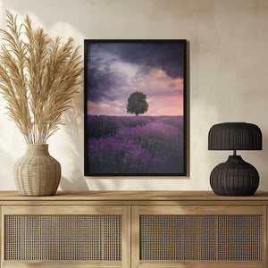 Tablou înramat „Lavender Fields, Isparta” de Cuma Cevik
