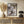 Tablou înramat „Brown Seaweed” de Pictufy Studio II
