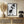 Tablou înramat „Cat Lover” de Pictufy Studio II