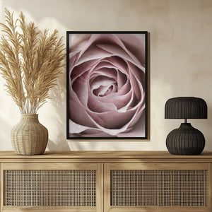 Tablou înramat „Pink Rose No 04” de Pictufy Studio III