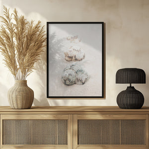 Tablou înramat „Shells” de Pictufy Studio III