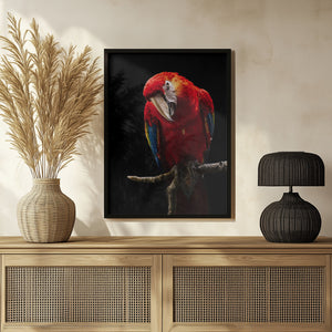 Tablou înramat „Portrait of Scarlet Macaw” de Andi Halil