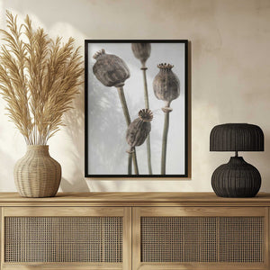 Tablou înramat „Dried_006” de Pictufy Studio III