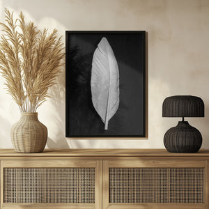 Tablou înramat „Feather_008” de Pictufy Studio III