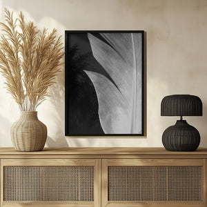 Tablou înramat „Feather_005” de Pictufy Studio III