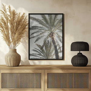 Tablou înramat „Palm_005” de Pictufy Studio III