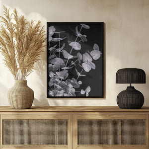 Tablou înramat „Eucalyptus_Negative_003” de Pictufy Studio III