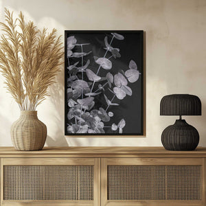 Tablou înramat „Eucalyptus_Negative_003” de Pictufy Studio III
