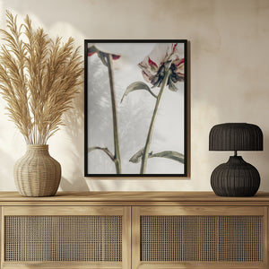 Tablou înramat „Peony 01” de Pictufy Studio III