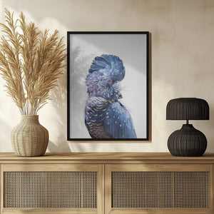 Tablou înramat „Black Cockatoo” de Kathrin Pienaar