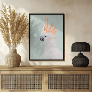 Tablou înramat „Cockatoo” de Kathrin Pienaar